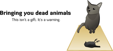 Cat Brings Dead Animals as Warning