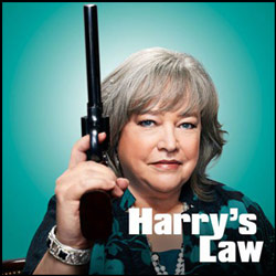 Kathy Bates as Harriet Korn in Harry’s Law