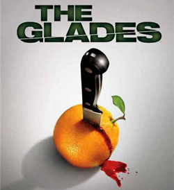 The Glades, Sunny with a chance of murder