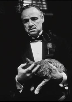 Vito Corleone and his cat in The Godfather