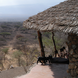 Lodge in Africa