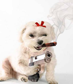 Dog with gun and cigar
