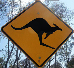 Kangaroo Crossing sign