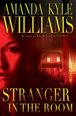 Stranger in the Room by Amanda Kyle Williams