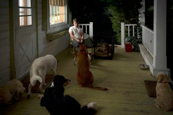 Will Graham and his adopted dogs