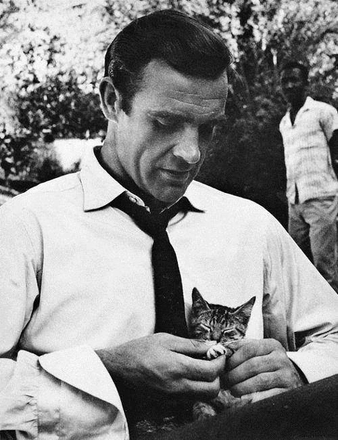 Sean Connery with a Kitten