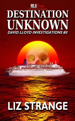 Destination Unknown, a David Lloyd Investigation by Liz Strange
