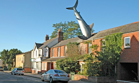 The Shark House of Headington